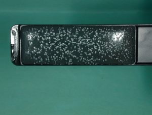 ラクトバチラス菌